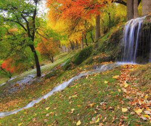 Nagar Valley - Gilgit
